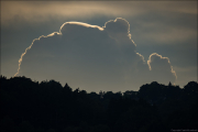 landschaft069