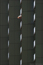 aussenansichten016