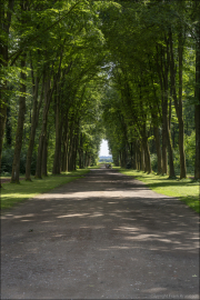 Direktion Rhein-Erft / RD Brühl / Brühl / Schloss Augustusburg / Schlosspark / Allee