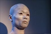 shibusa-shirazu003