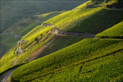 landschaft001