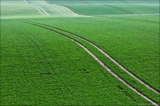 landschaft017