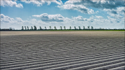 landschaft019