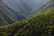landschaft021