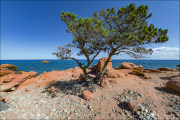 landschaft023