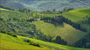 landschaft035