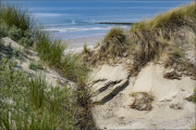 landschaft037