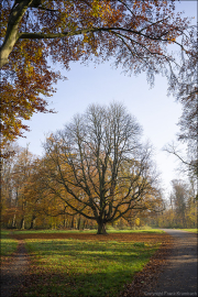 landschaft041