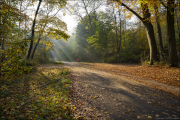 landschaft042