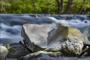 landschaft046