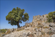landschaft049