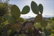 landschaft052