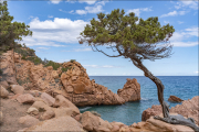 landschaft059