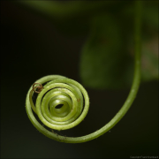 makro058