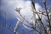 momente028