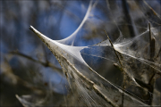 momente029