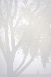 momente050